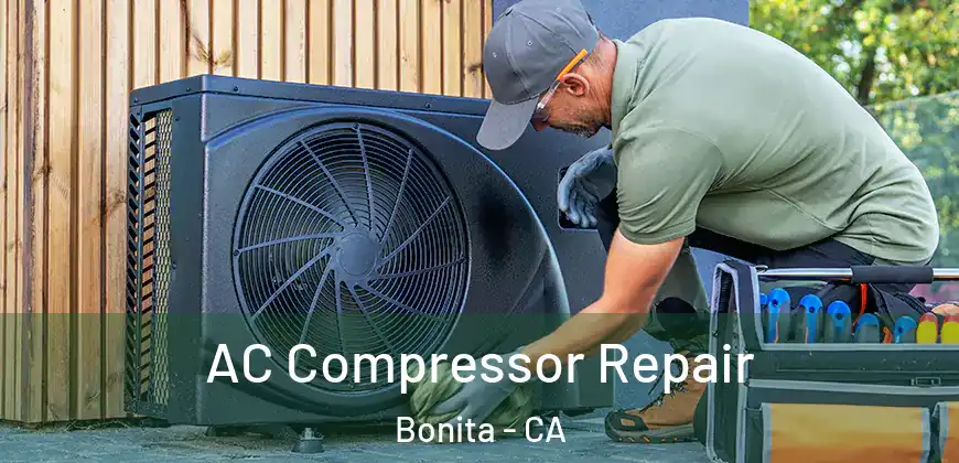  AC Compressor Repair Bonita - CA