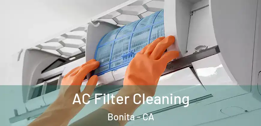 AC Filter Cleaning Bonita - CA