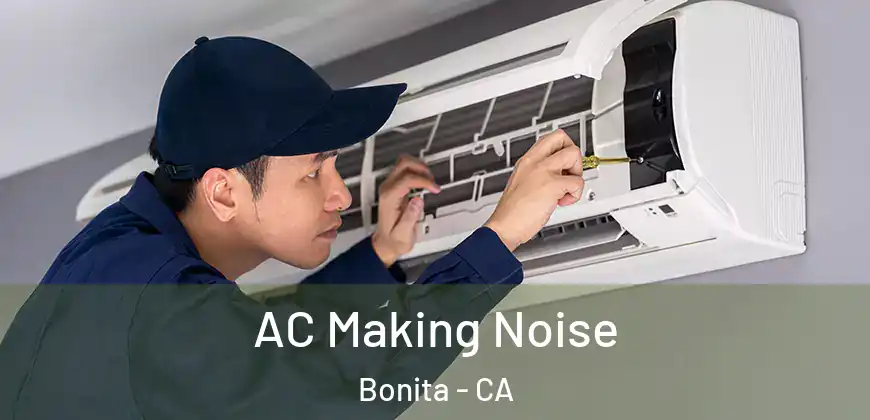  AC Making Noise Bonita - CA