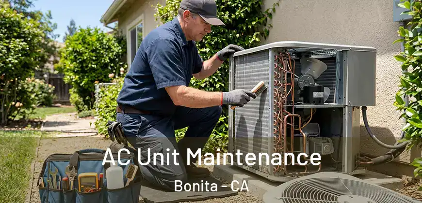 AC Unit Maintenance Bonita - CA